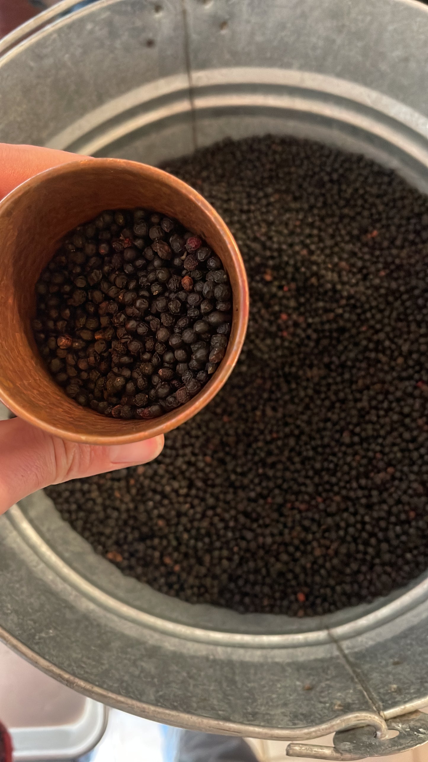 Schinos Seed Oil (Pistacia lentiscus)