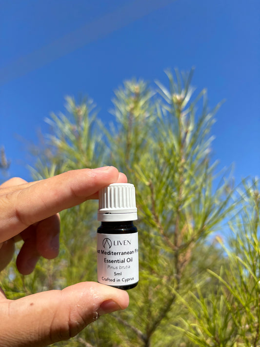 Wild Pine Essential Oil | Pinus brutia