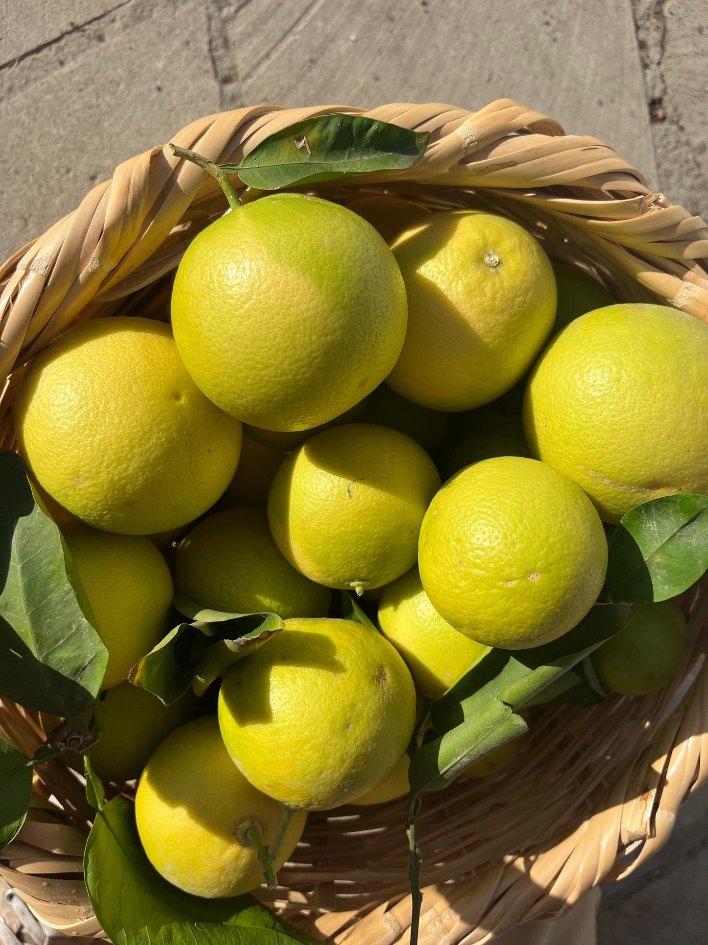 Expressed Grapefruit Peel Essential Oil