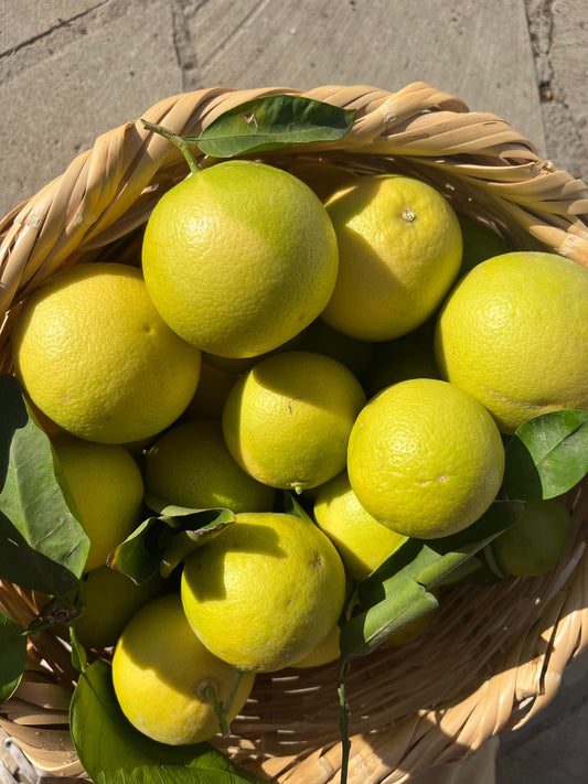 Expressed Grapefruit Peel Essential Oil