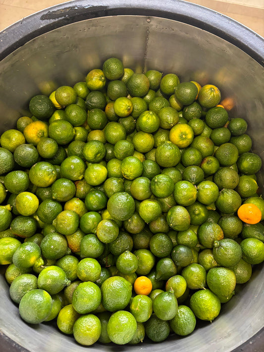 distillation of green mandarin