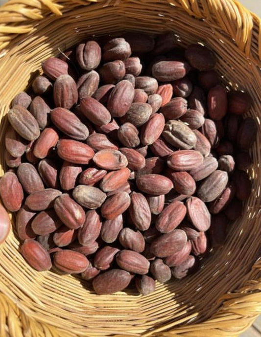 Jojoba seeds in a woven basket