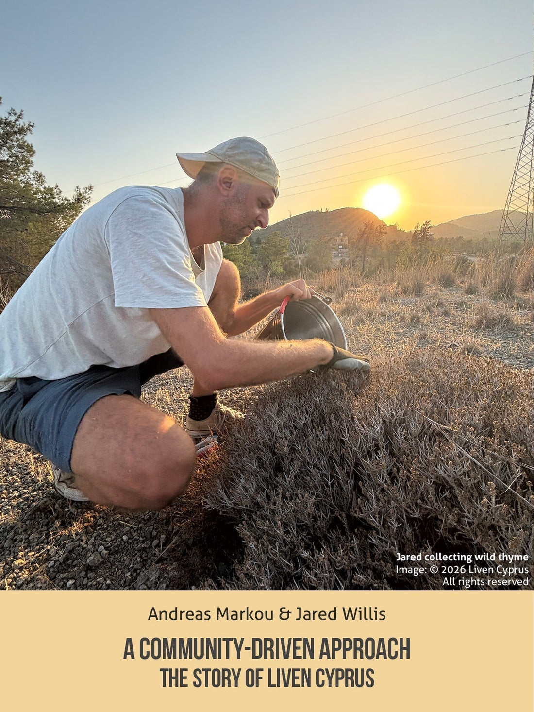 magazine cover featuring us collecting wild cyprus thyme