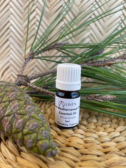 East Mediterranean Pine Essential Oil