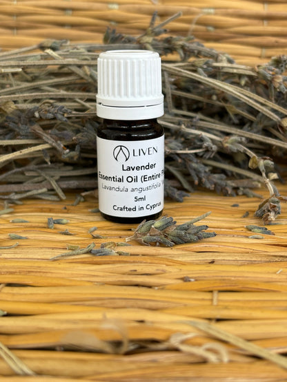 Lavender Essential Oil|Entire plant