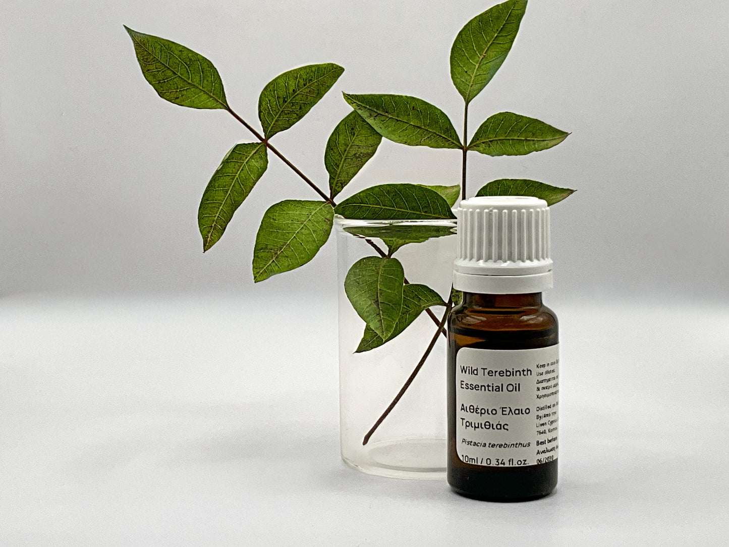 Wild Terebinth (Trimithia) Essential Oil