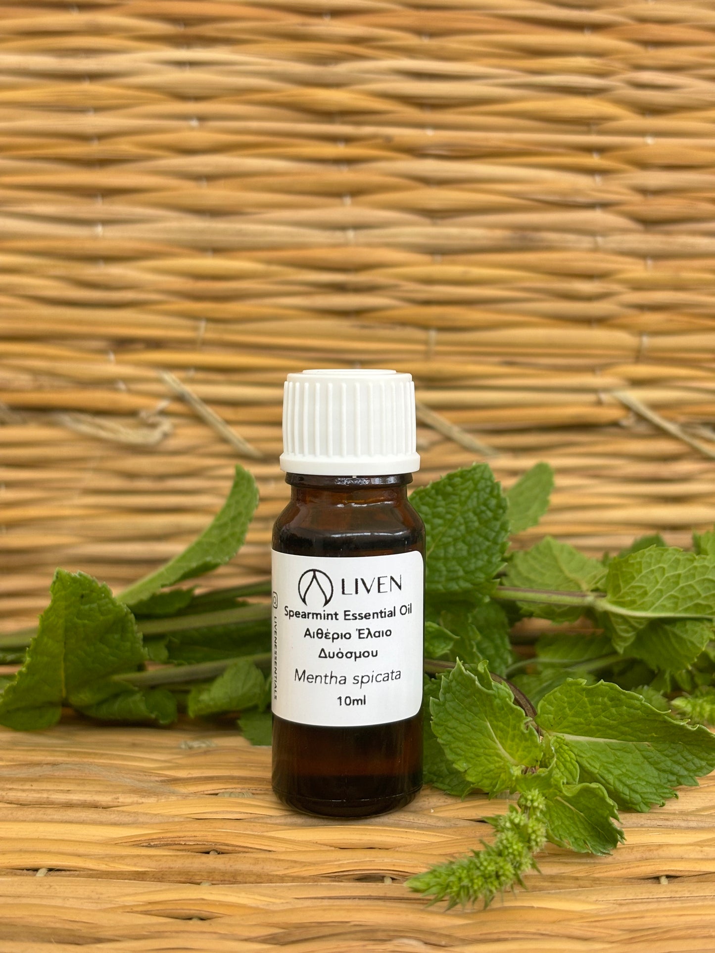 Spearmint Essential Oil