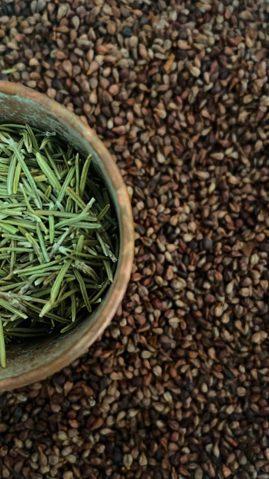 Rosemary Grapeseed Oil