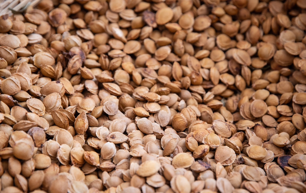 Apricot kernels rescued from a Jam factory cyprus
