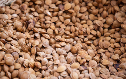 Apricot kernels rescued from a Jam factory cyprus
