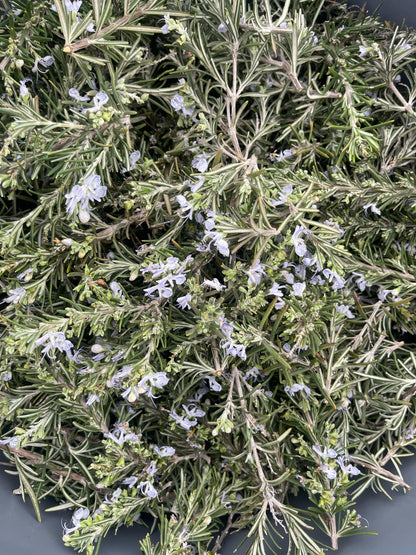 Basket full of flowering rosemary cyprus