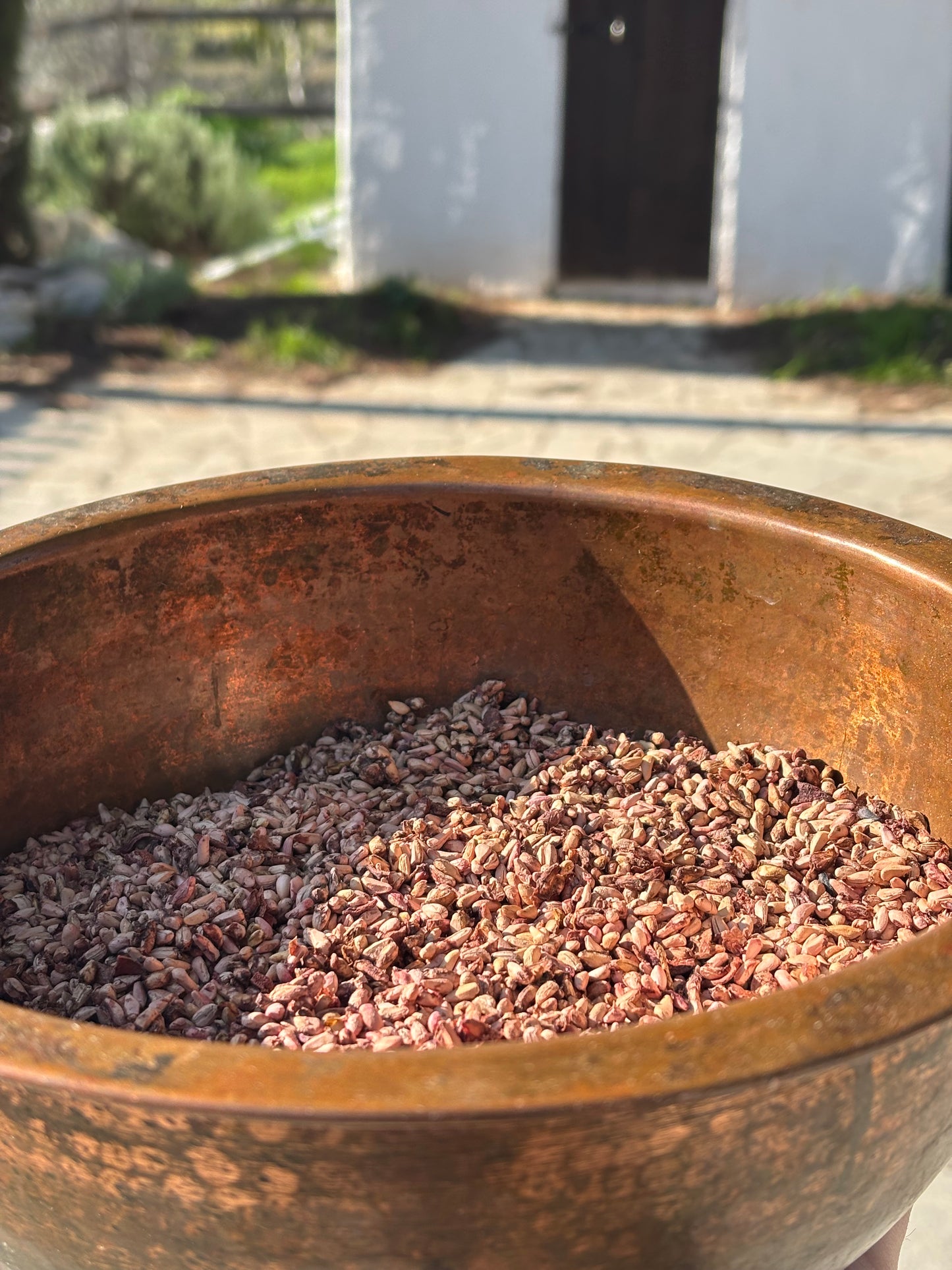 Rust-colored metal bowl with a pomegranate seeds in cyprus