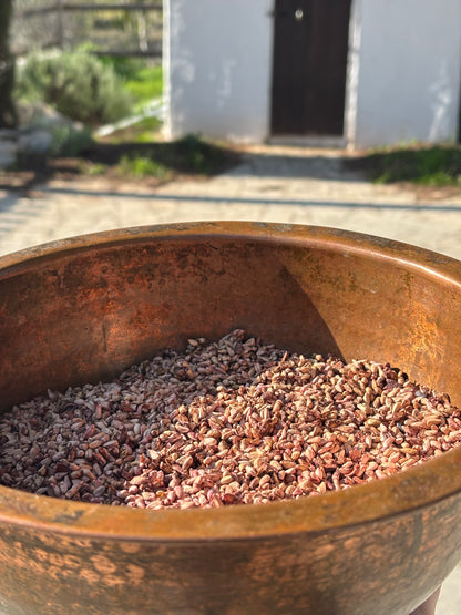 Rust-colored metal bowl with a pomegranate seeds in cyprus