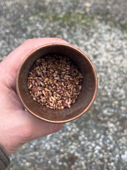 Hand holding a bronze cup filled with pomegranate seeds against a concrete background