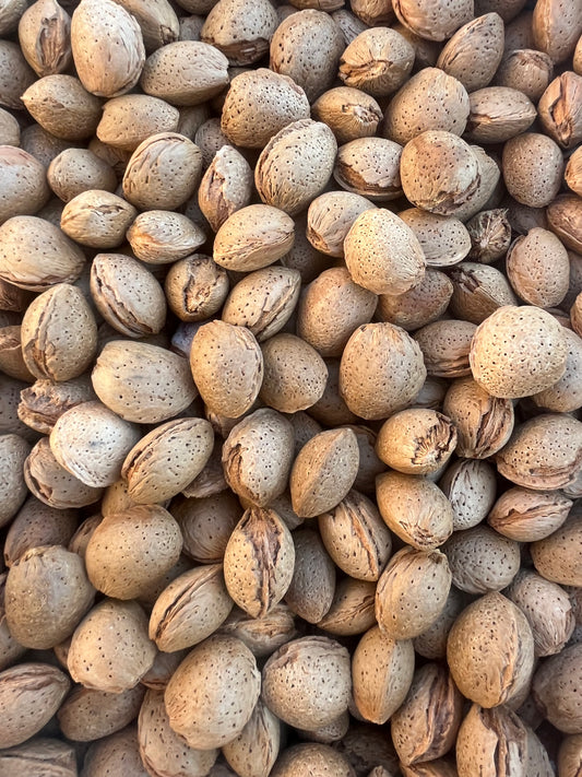 Close-up of a pile of Cyprus almonds