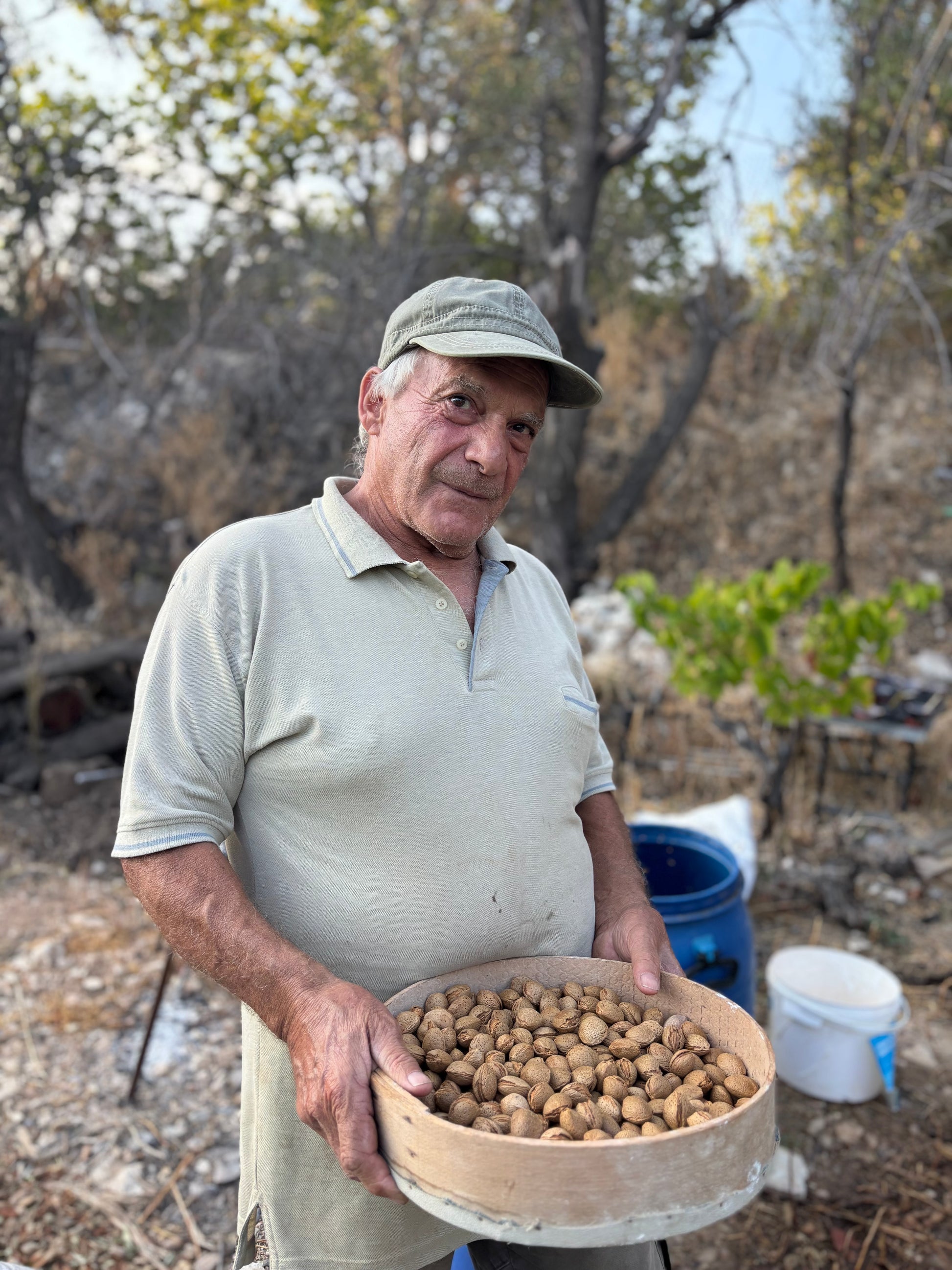 Man holding a basket of Cyprus almonds from troodos mountains