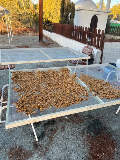 Drying grapeseed on nets and screens