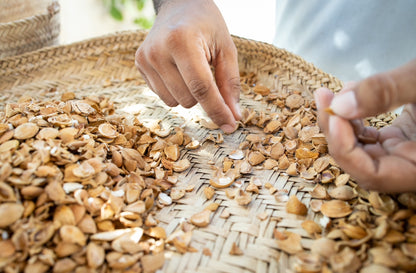 Apricot Kernel Oil