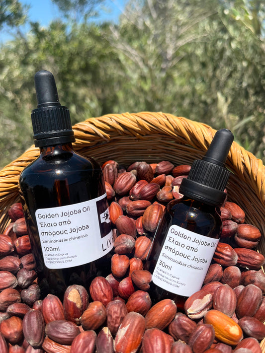 Two amber glass dropper bottles of Golden Jojoba Oil, one 100ml and one 30ml, labeled in Greek, displayed in a woven basket filled with raw jojoba pods against an outdoor olive tree background.