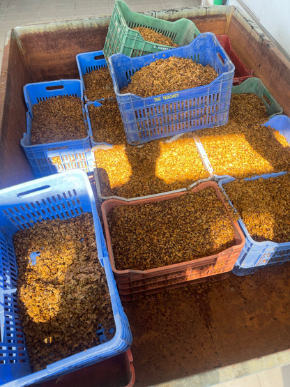 Plastic crates filled with a grapeseed