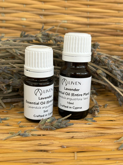 Lavender Essential Oil|Entire plant