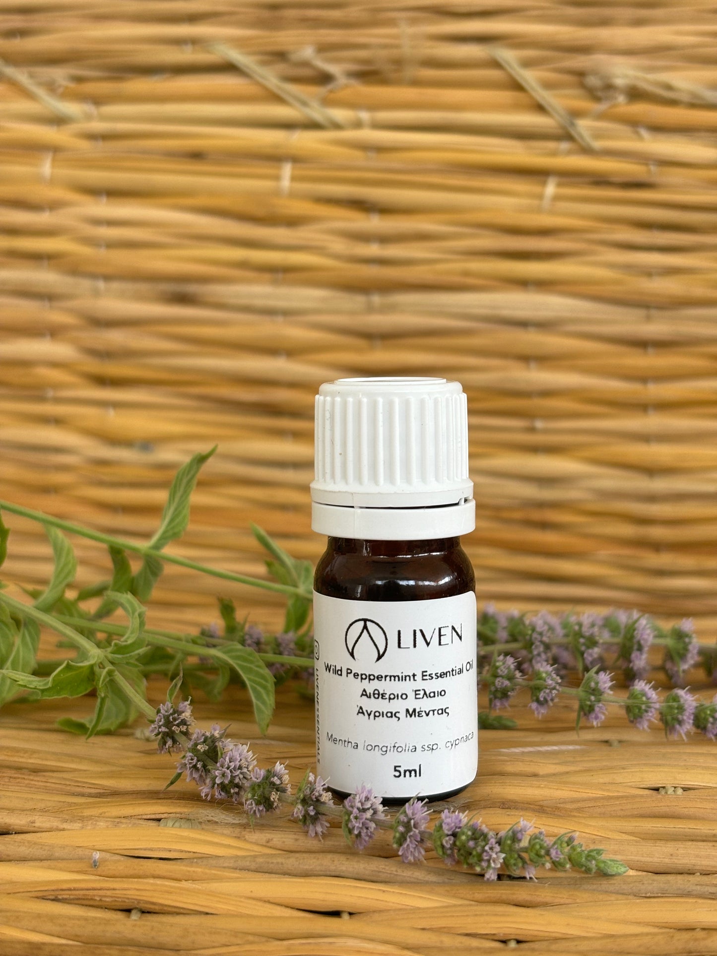 Wild Peppermint Essential Oil