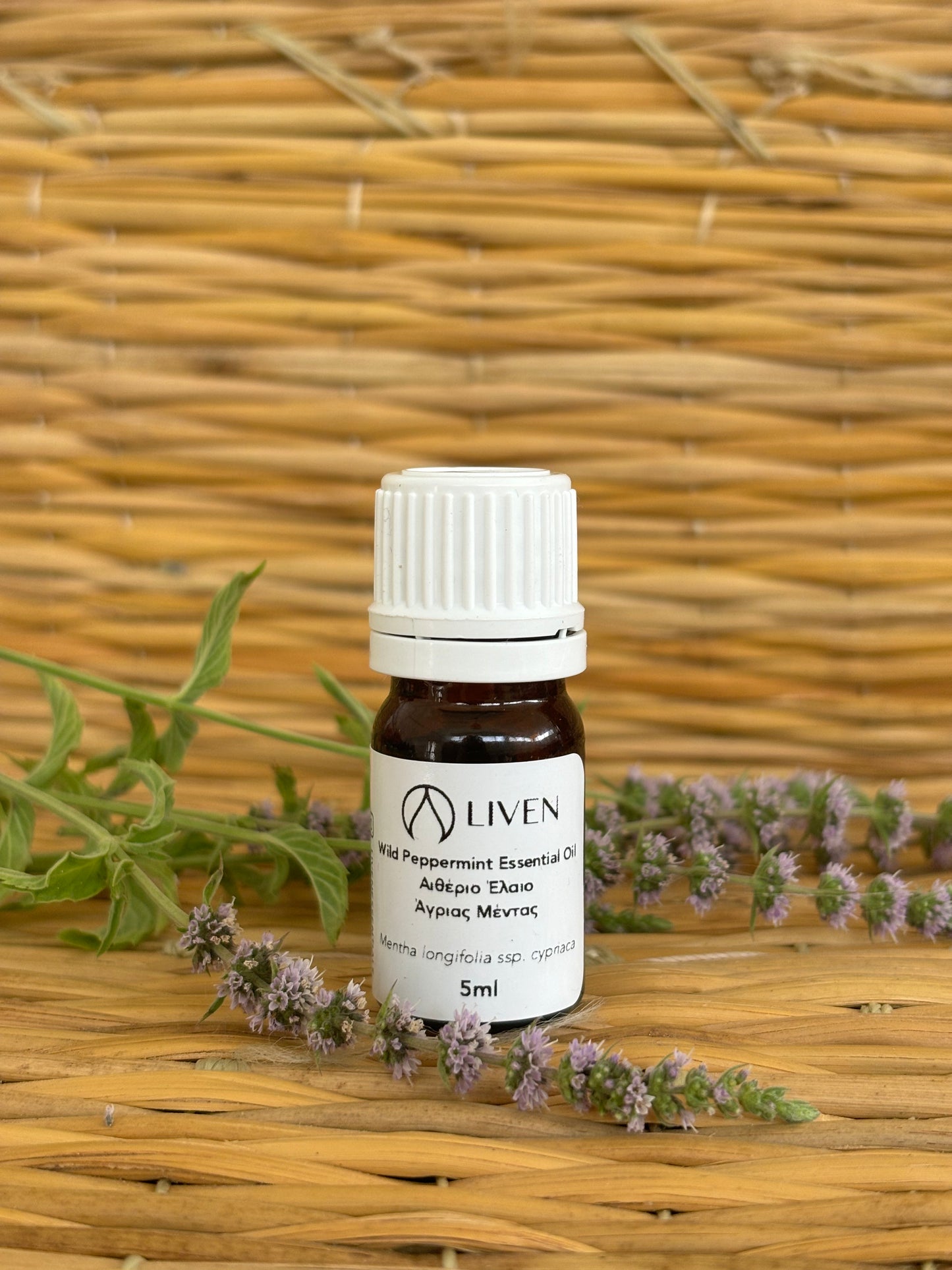 Wild Peppermint Essential Oil