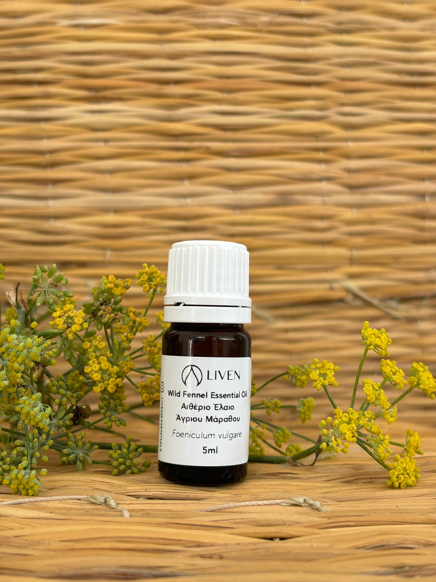 Wild Fennel Essential Oil