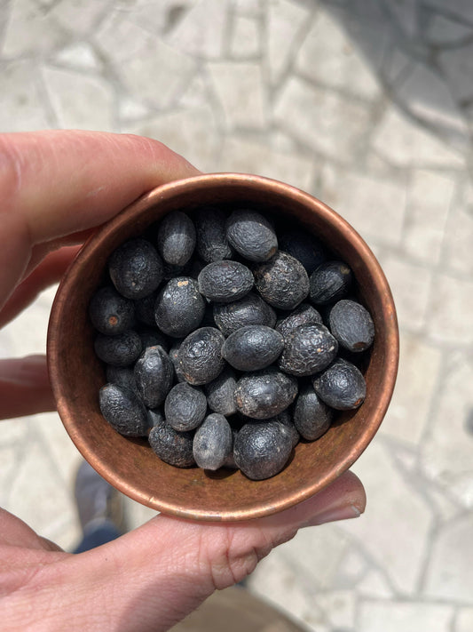 Laurel berries 