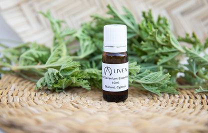 Rose Geranium Essential Oil