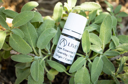 Sage Essential Oil