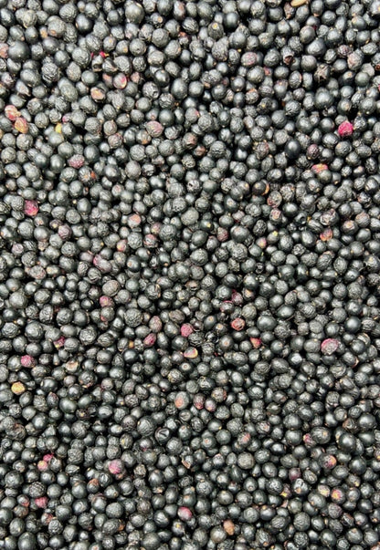 Schinos mastic berry lentisk seeds