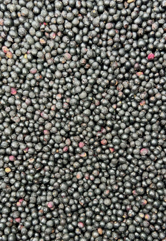 Schinos mastic berry lentisk seeds
