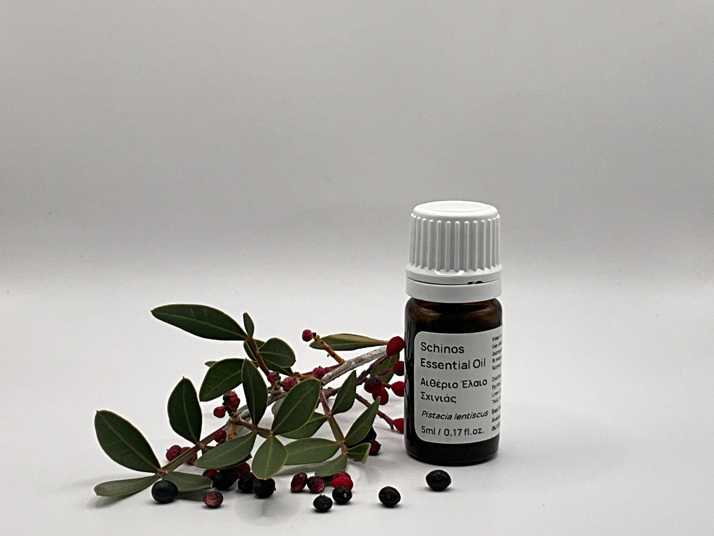 Mastic tree Essential oil bottle with leaves and berries