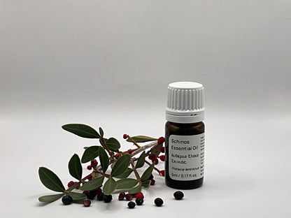 Mastic tree Essential oil bottle with leaves and berries