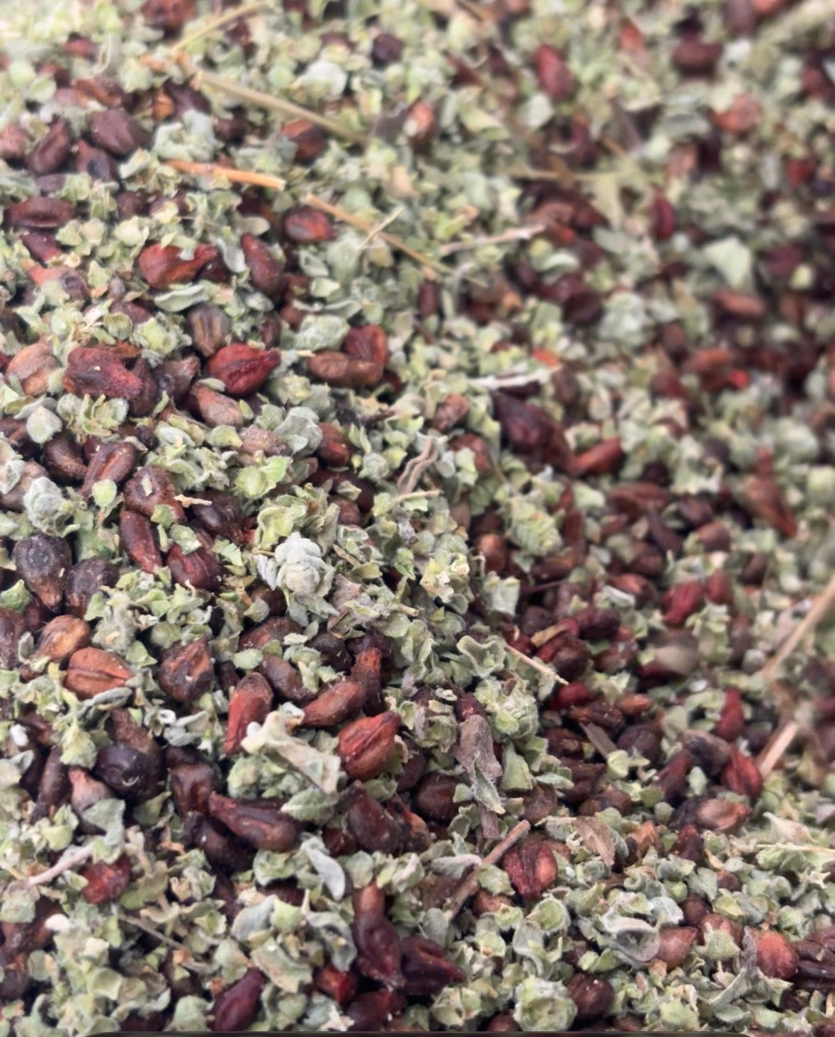 Close-up of dried oregano and grapeseed with a focus on green and brown colors.