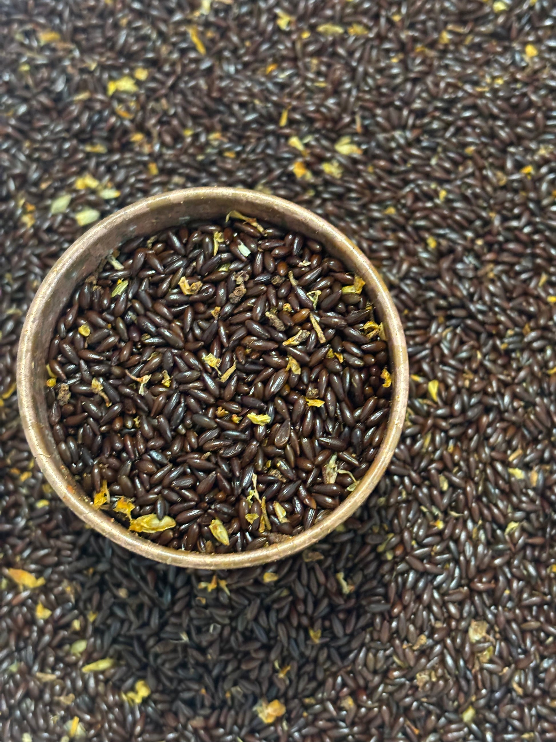 Sea buckthorn seed dried