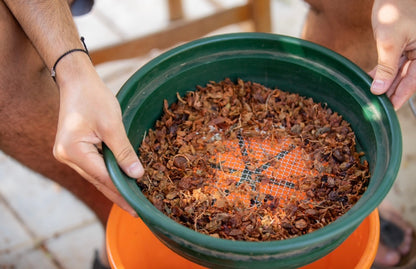 Person holding a green pot with grapeseed