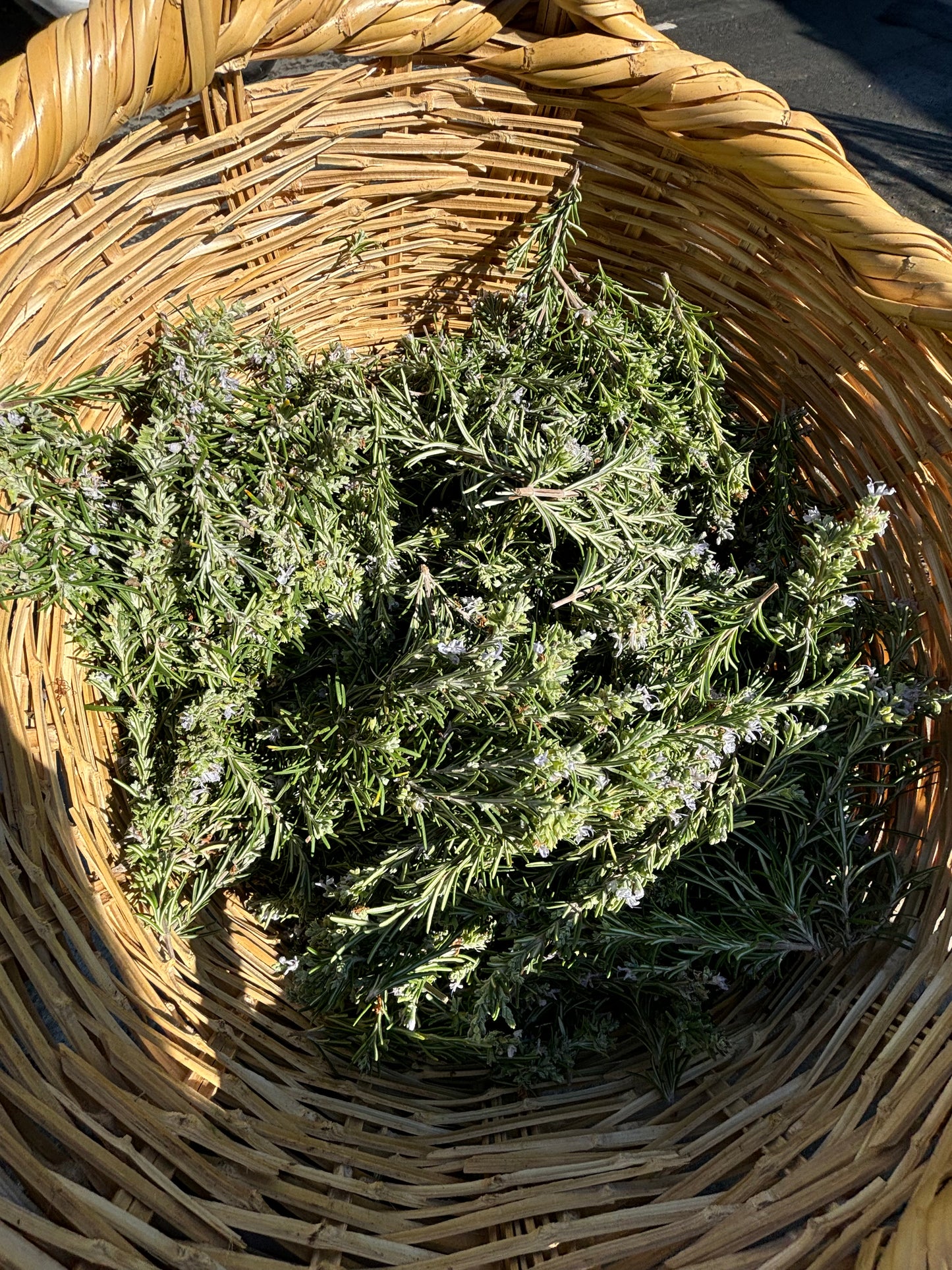 traditional basket with rosemary in cyprus