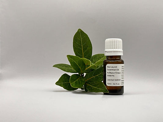 bay essential oil