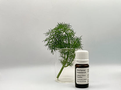 fennel essential oil from cyprus next to the herb