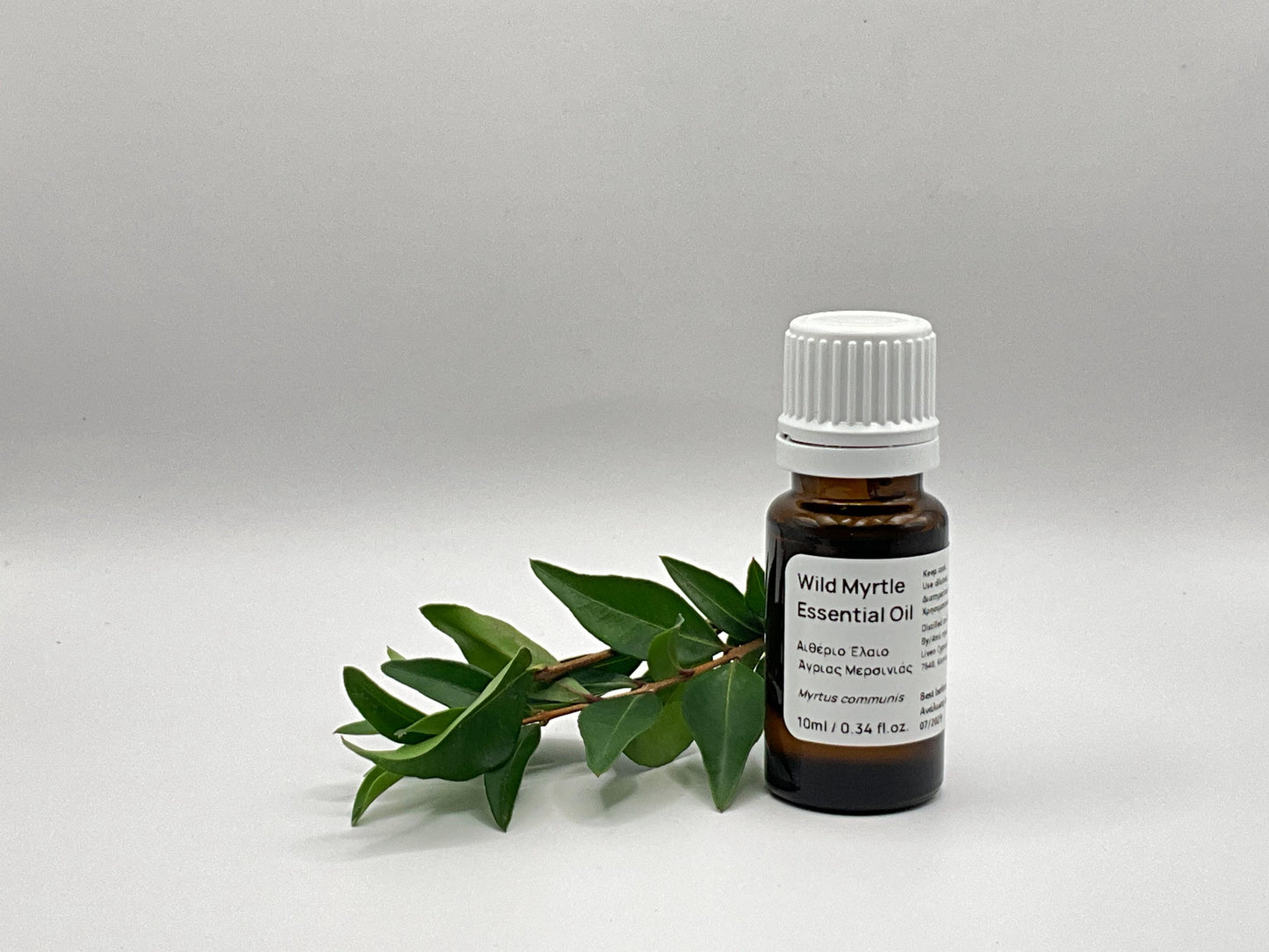 Wild Myrtle Essential Oil bottle