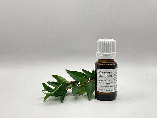 Wild Myrtle Essential Oil bottle