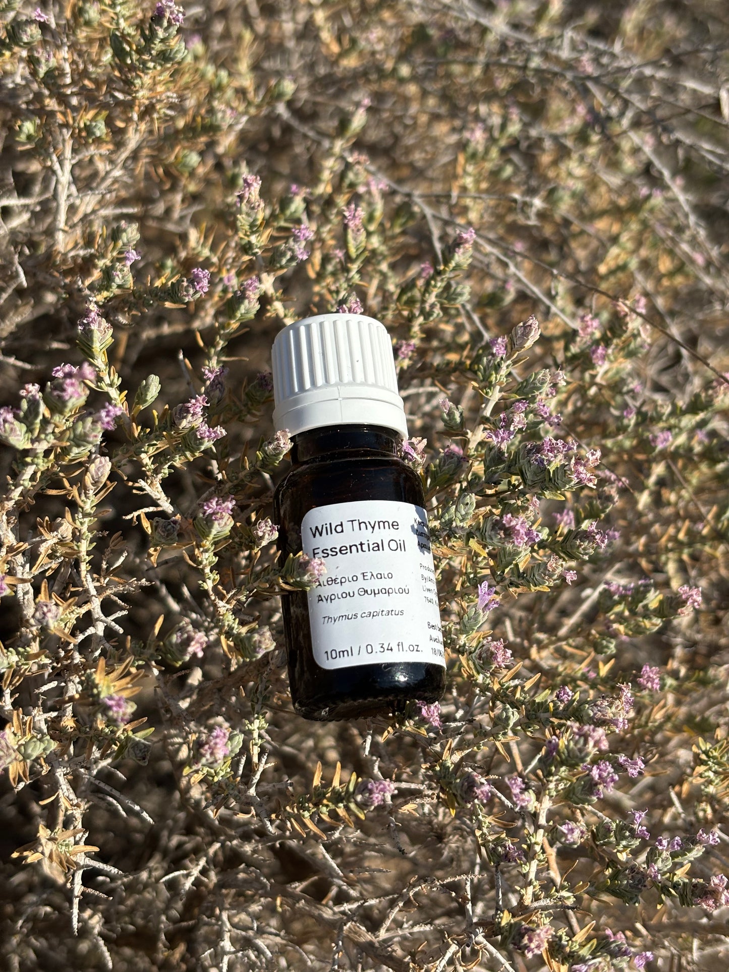 Essential oil bottle labeled 'Wild Thyme Essential Oil' on a background of thyme plants.