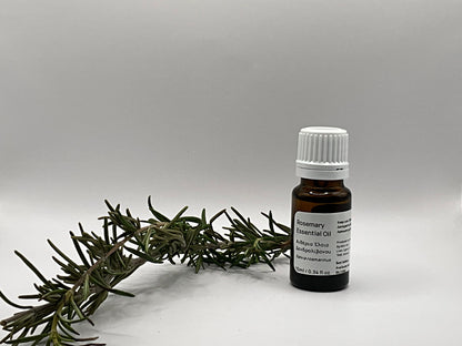 rosemary oil  bottle next to plant