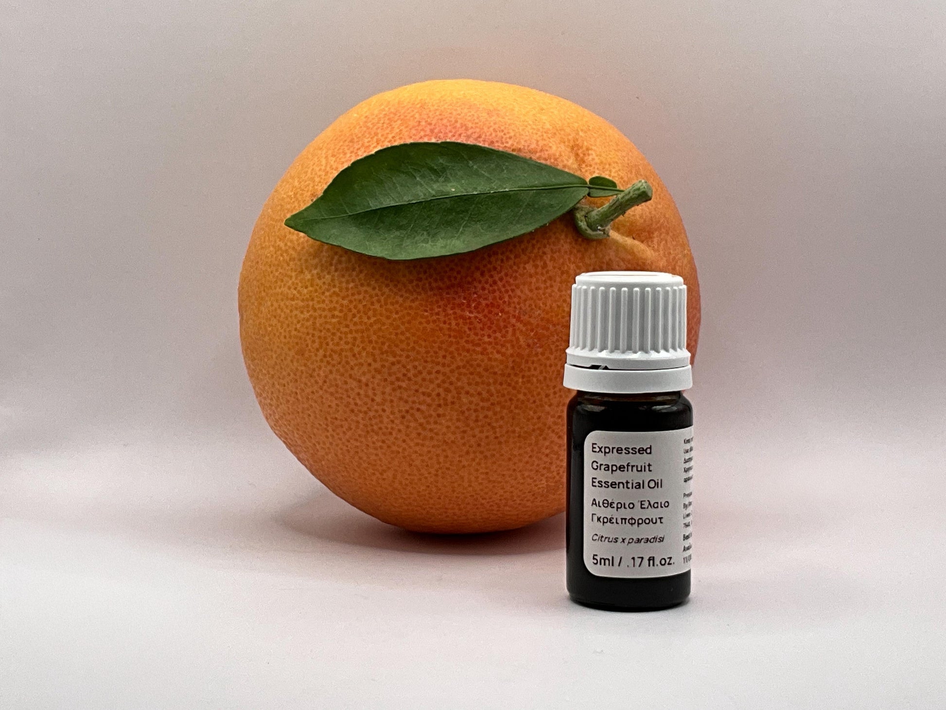 Bottle of essential oil next to a cyprus grapefruit