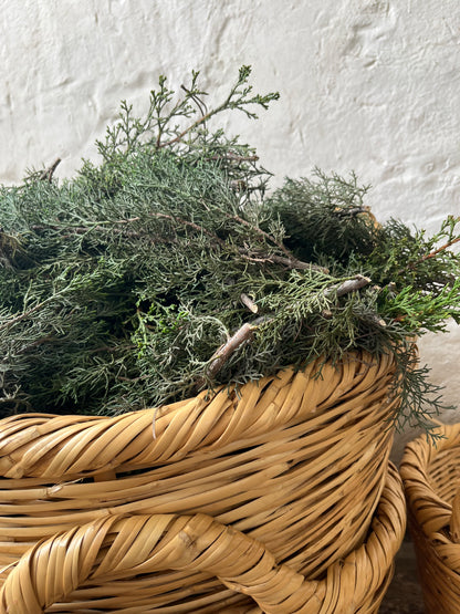 Wicker basket with cypress for distillation