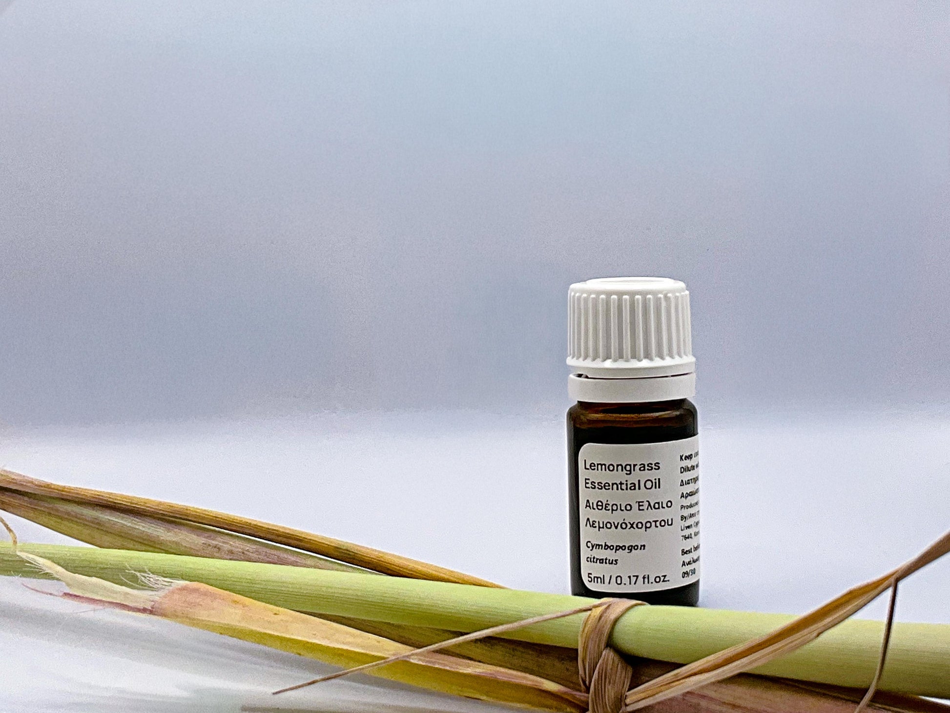 cyprus lemongrass essentail oil and plants herb next to it